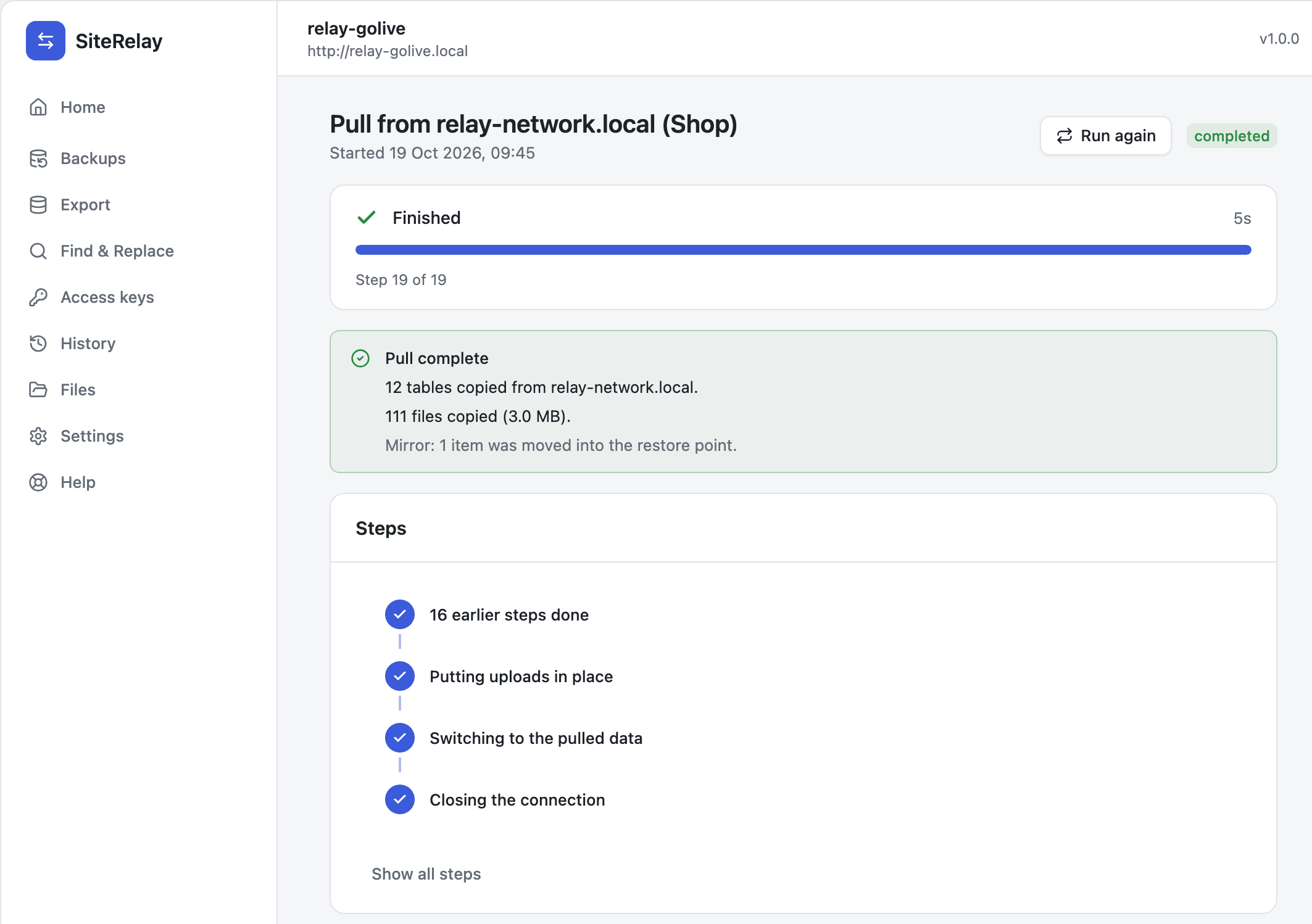 Pull complete: tables and files copied, with Undo pull