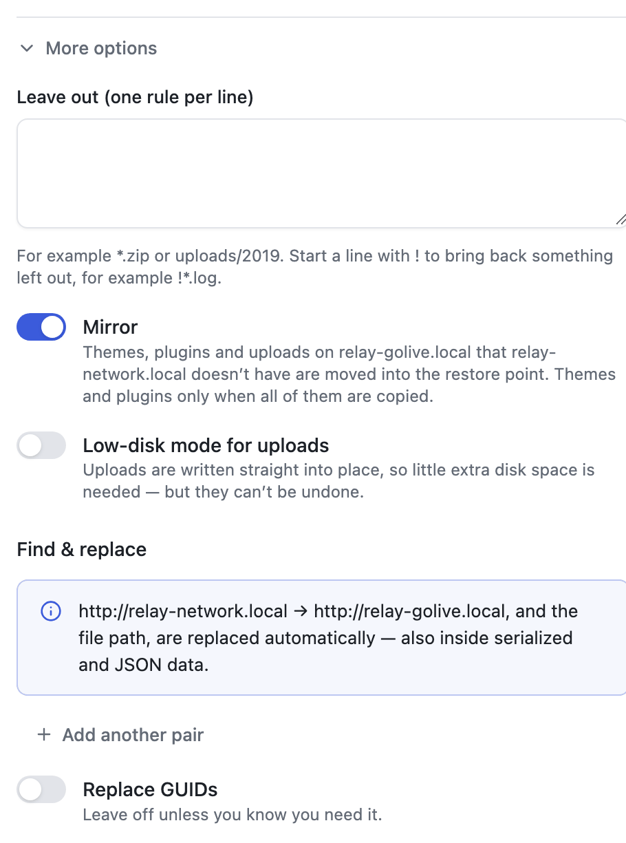 More options: Leave out, Mirror, Low-disk mode, Find & replace
