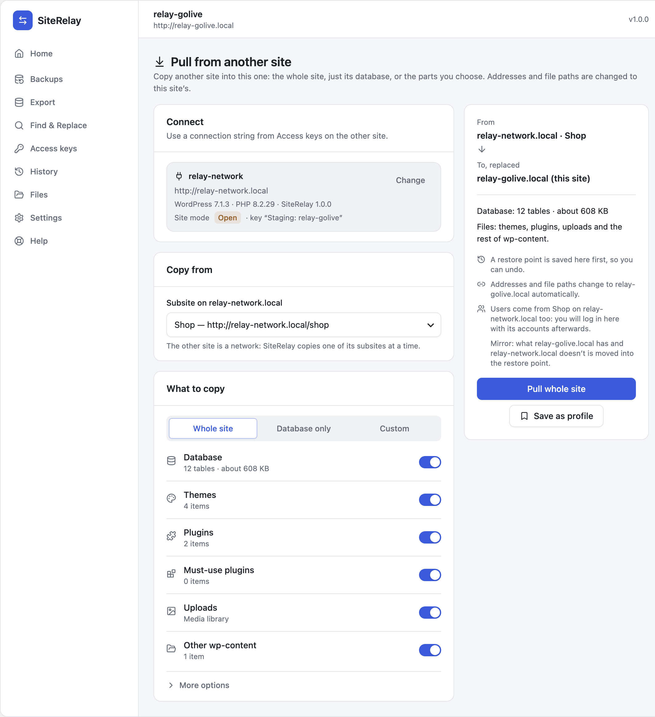 Pulling the whole site: what to copy, and the summary of what will happen